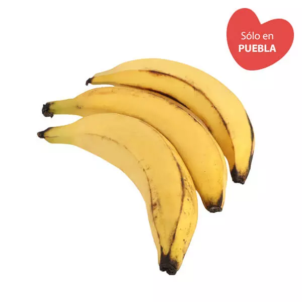 Plátano Macho