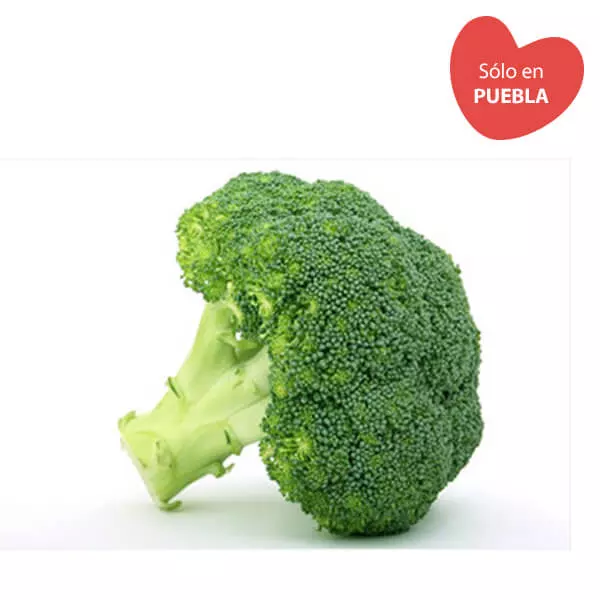 Brócoli