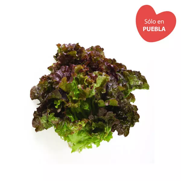 Lechuga Sangria