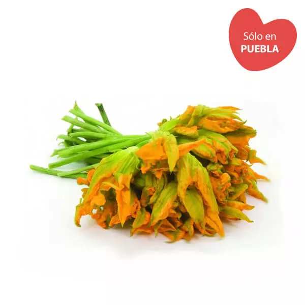Flor de calabaza