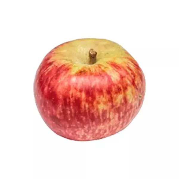 Manzana Panochera