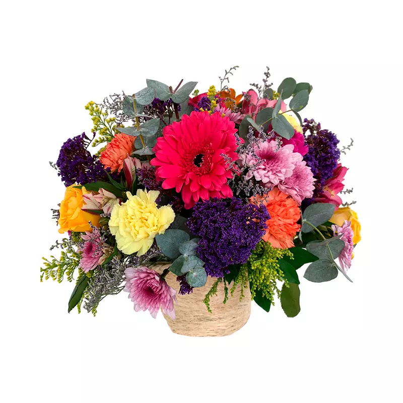 Canasta Primavera