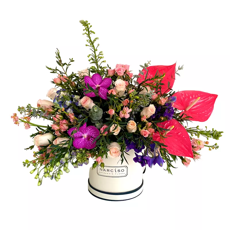 Caja Silvestre Rosa