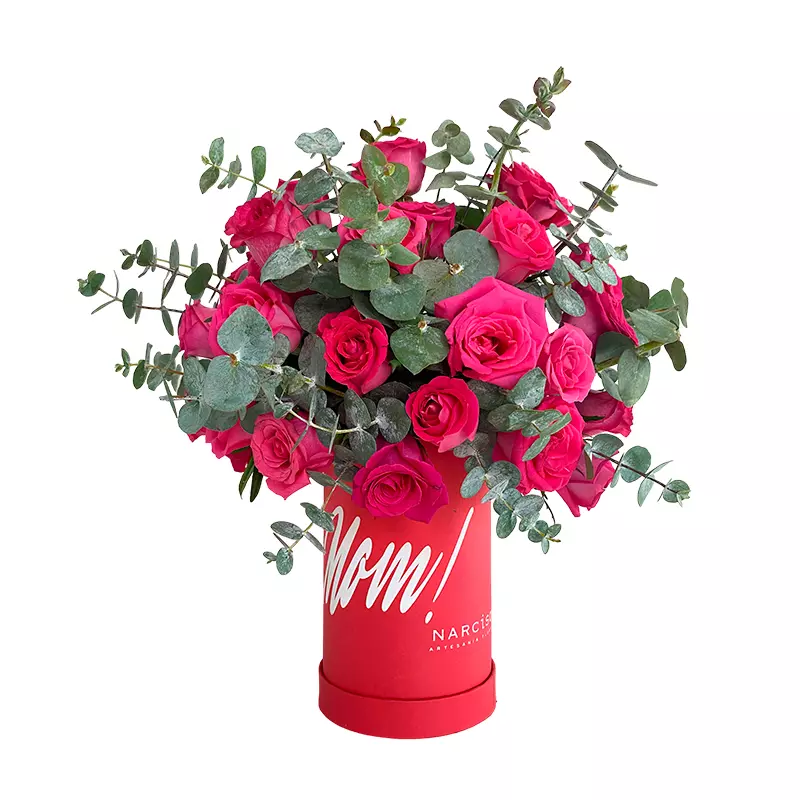 Caja Bonita Fucsia