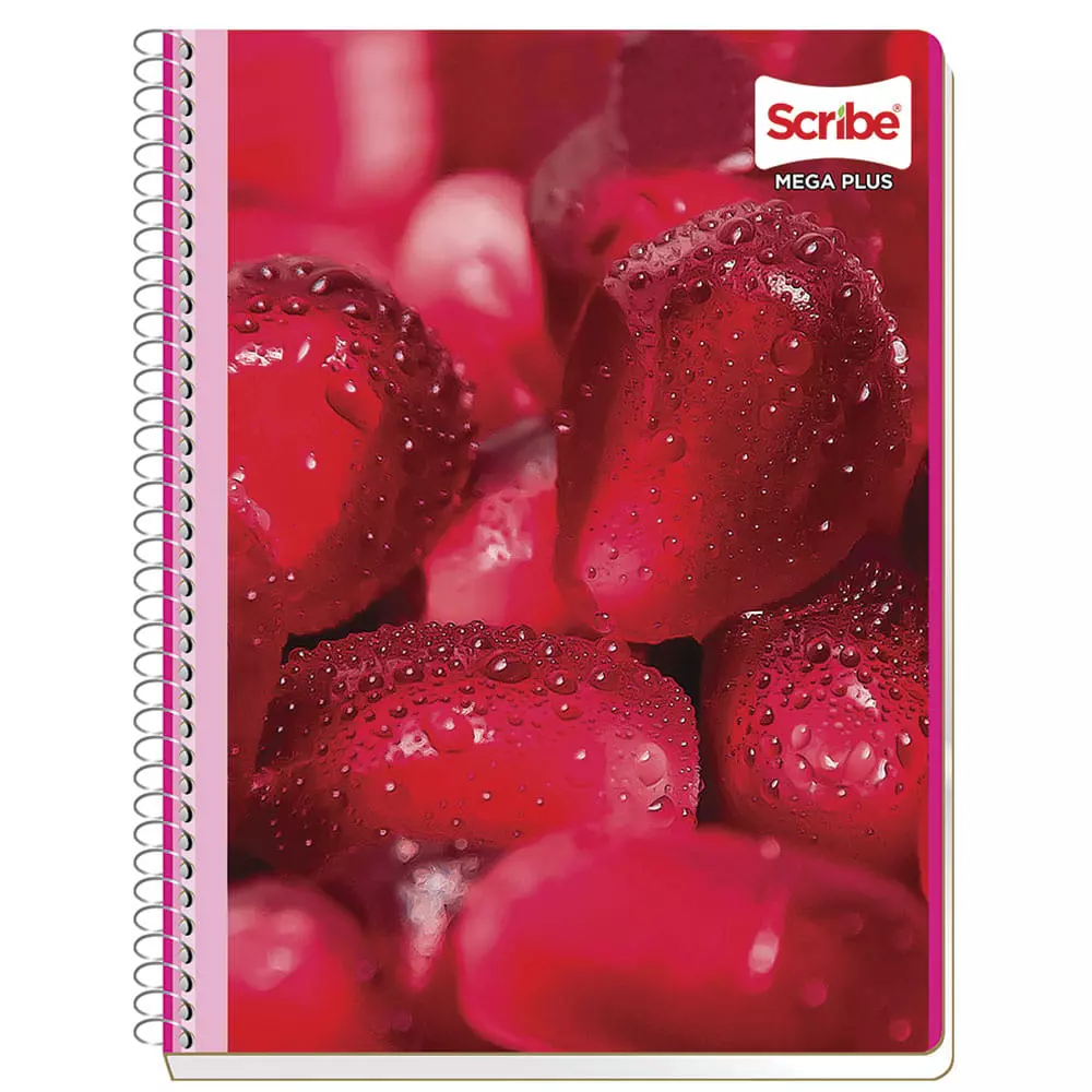 Cuaderno Espiral de 100 Hojas Profesional de Cuadro Chico Mega Plus Scribe®