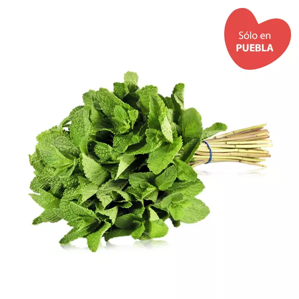 Menta