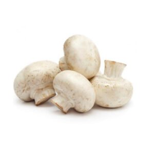 CHAMPIÑON ENTERO