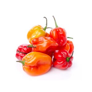 CHILE HABANERO