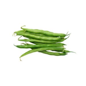 EJOTE