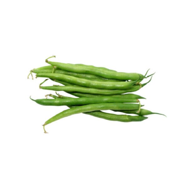 EJOTE
