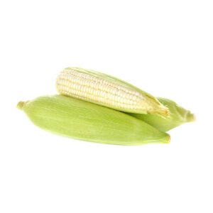 ELOTE BLANCO