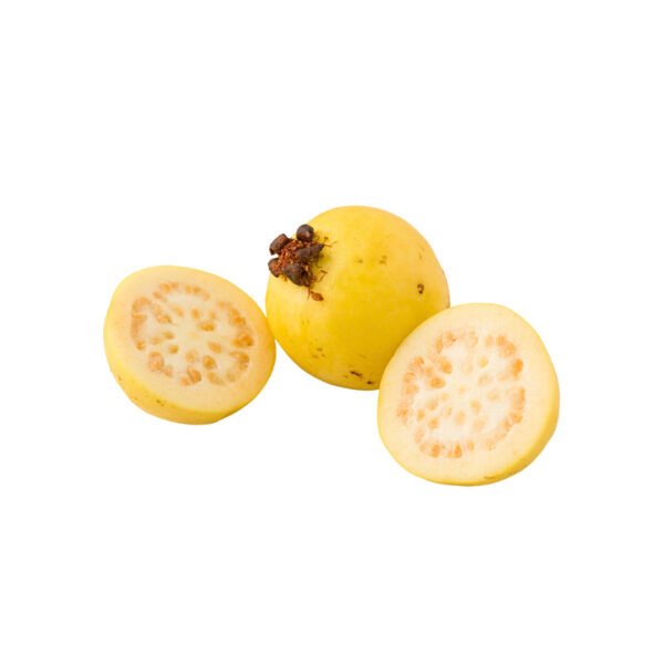 GUAYABA