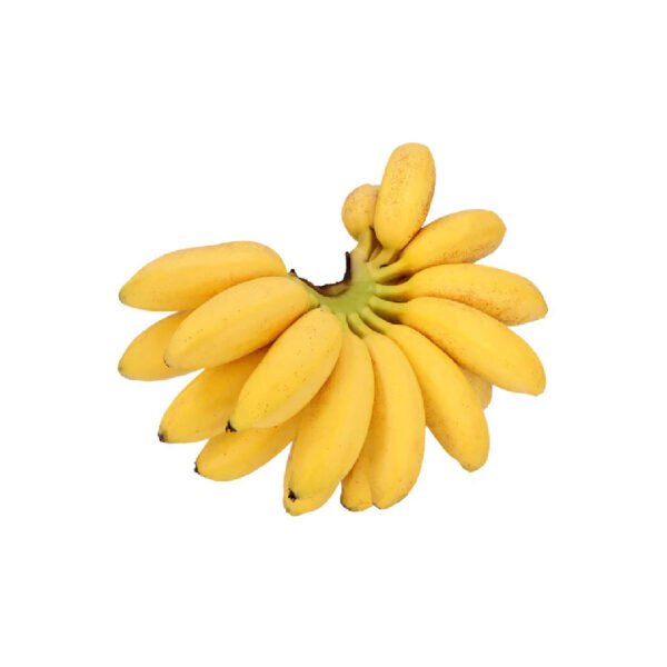 PLATANO DOMINICO