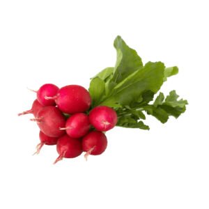 RABANITOS